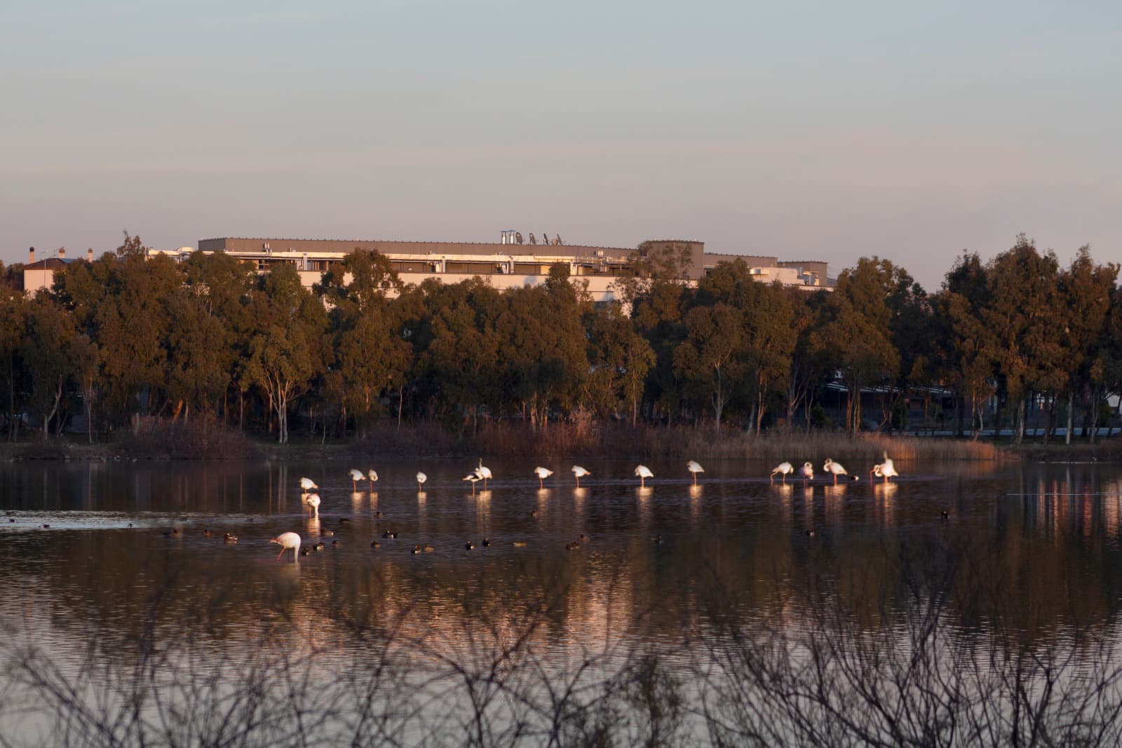 Hampton By Hilton İzmir Aliağa-46