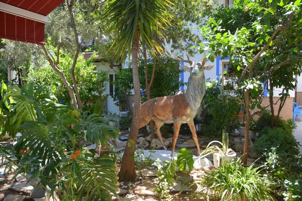 İstanköy Hotel Bodrum-5