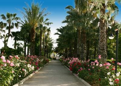Adora Resort Hotel-3