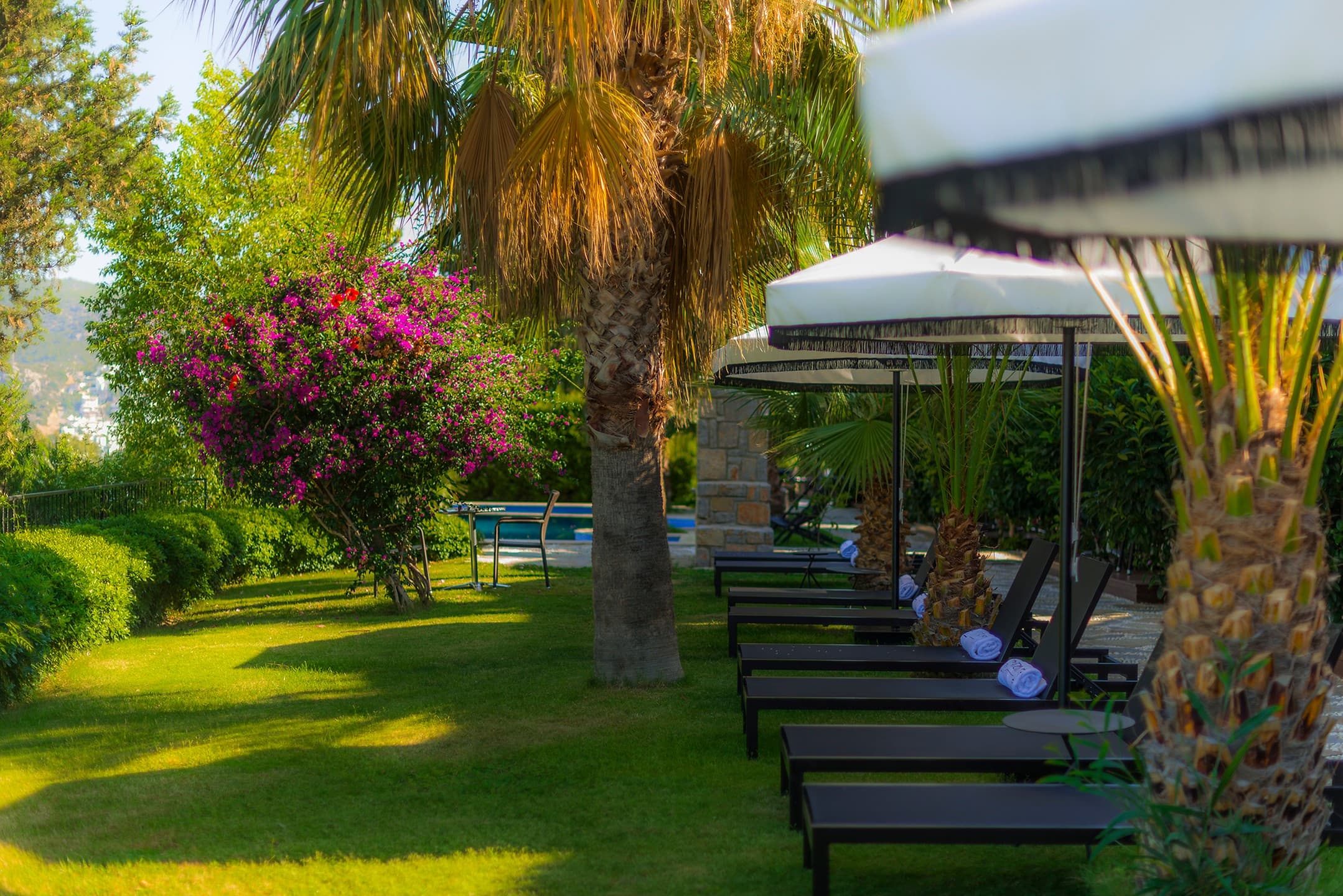 Magna Manastır Suit Hotel-52