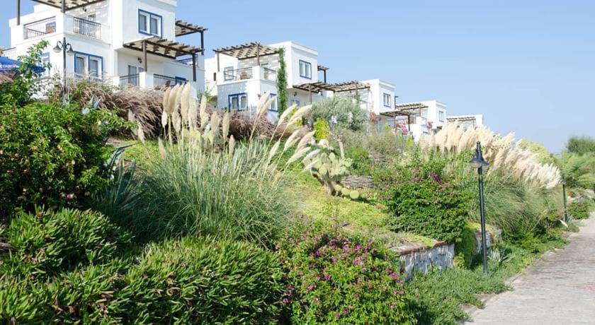 Aktur Residence-33