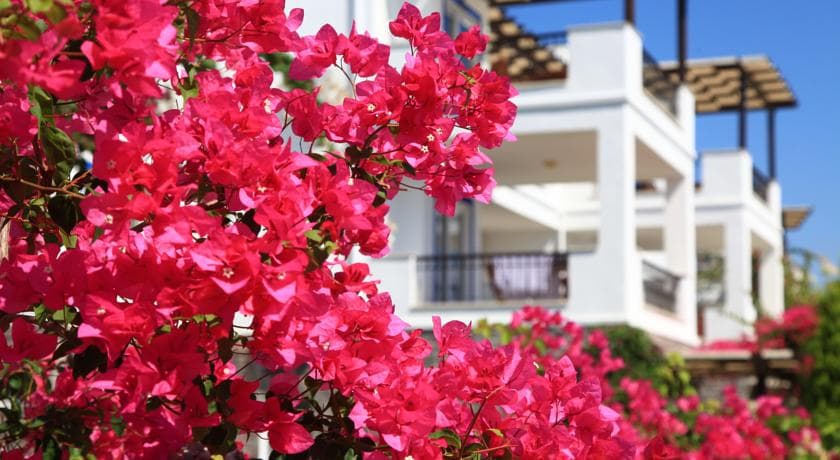 Aktur Residence-43