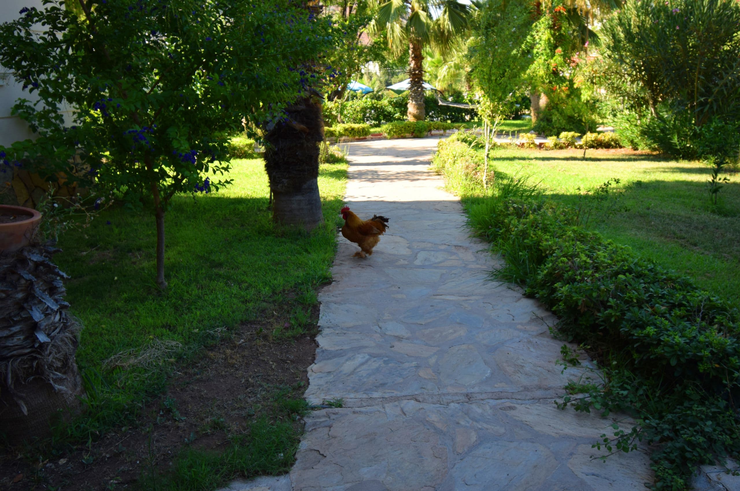 Adrasan Beach Club Hotel-13